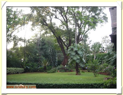 Kenya2004 (110).JPG