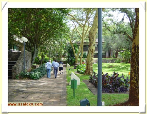 Kenya2004 (169).JPG
