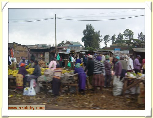 Kenya2004 (218).JPG