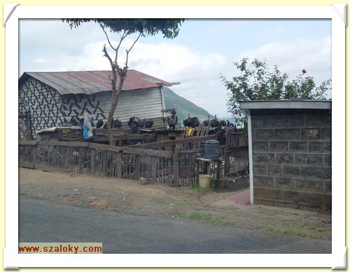 Kenya2004 (223).JPG