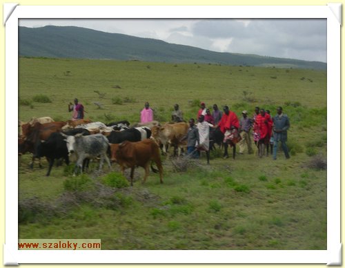 Kenya2004 (226).JPG