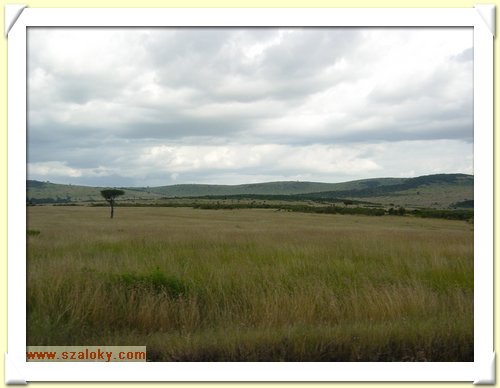 Kenya2004 (261).JPG