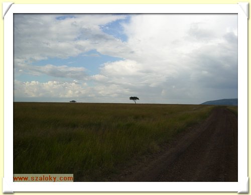 Kenya2004 (262).JPG