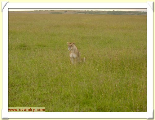 Kenya2004 (272).JPG