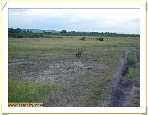 Kenya2004 (273).JPG