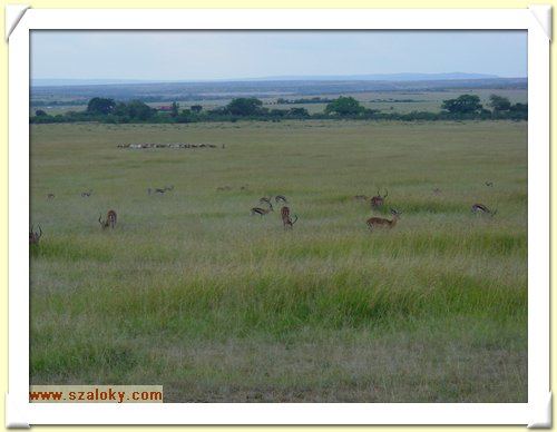 Kenya2004 (275).JPG