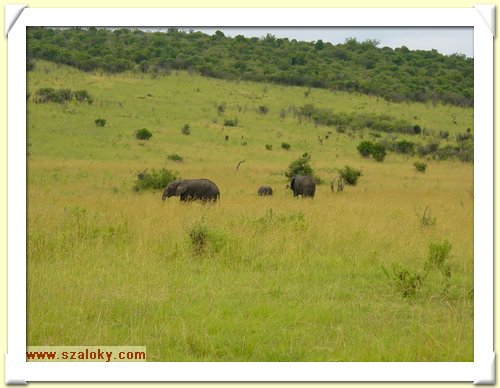 Kenya2004 (280).JPG