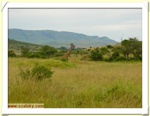 Kenya2004 (289).JPG