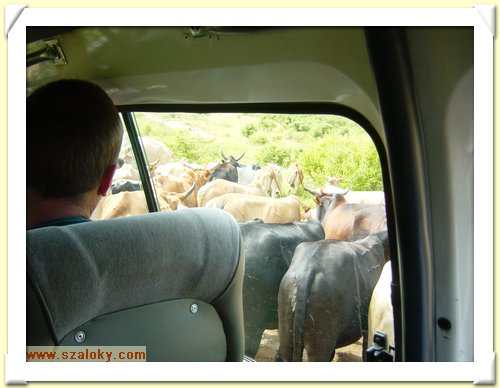 Kenya2004 (308).JPG