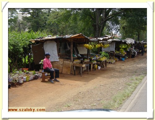 Kenya2004 (31).JPG