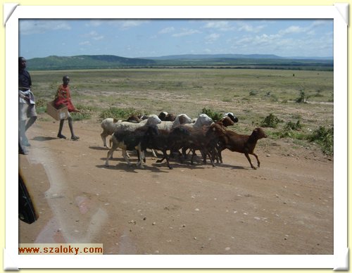 Kenya2004 (311).JPG