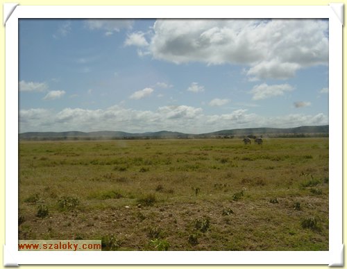Kenya2004 (312).JPG