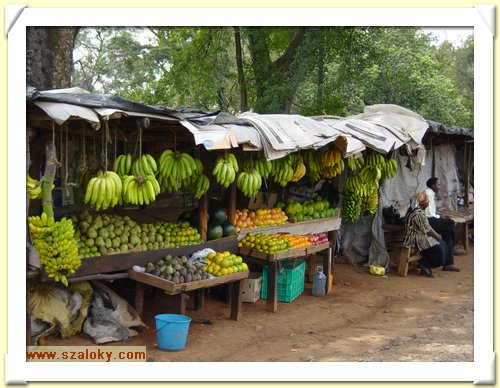 Kenya2004 (32).JPG