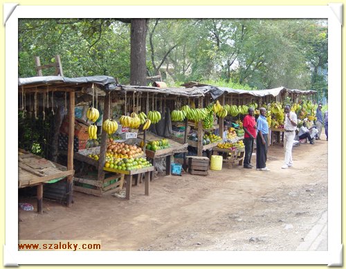 Kenya2004 (33).JPG