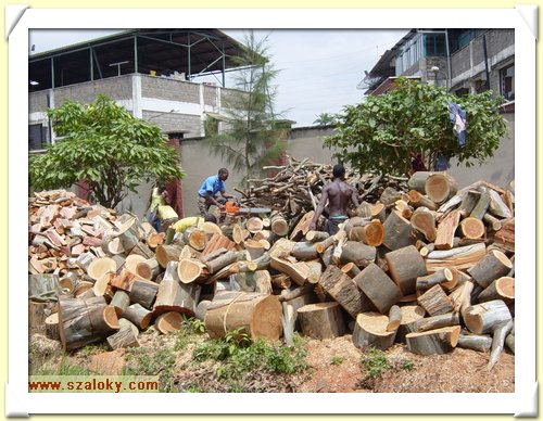 Kenya2004 (37).JPG