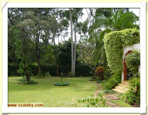 Kenya2004 (45).JPG