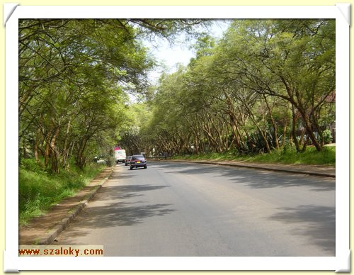 Kenya2004 (61).JPG