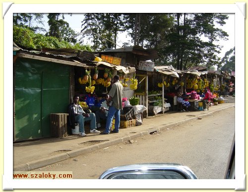 Kenya2004 (77).JPG