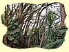 Kenya2004 (109).JPG