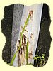 Kenya2004 (11).JPG