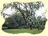 Kenya2004 (110).JPG