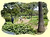 Kenya2004 (160).JPG
