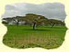 Kenya2004 (228).JPG