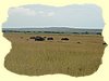 Kenya2004 (269).JPG