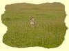 Kenya2004 (272).JPG