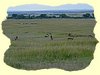 Kenya2004 (275).JPG