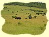 Kenya2004 (280).JPG