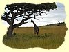 Kenya2004 (287).JPG