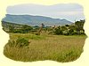 Kenya2004 (289).JPG