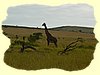 Kenya2004 (290).JPG