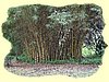 Kenya2004 (301).JPG
