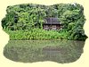 Kenya2004 (303).JPG
