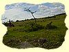 Kenya2004 (309).JPG