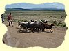 Kenya2004 (311).JPG