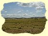 Kenya2004 (312).JPG