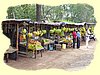 Kenya2004 (33).JPG
