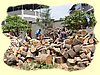 Kenya2004 (37).JPG