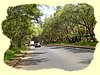 Kenya2004 (61).JPG