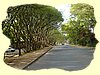 Kenya2004 (78).JPG