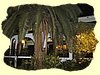 Kenya2004 (9).JPG
