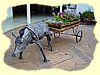 Kenya2004 (95).JPG